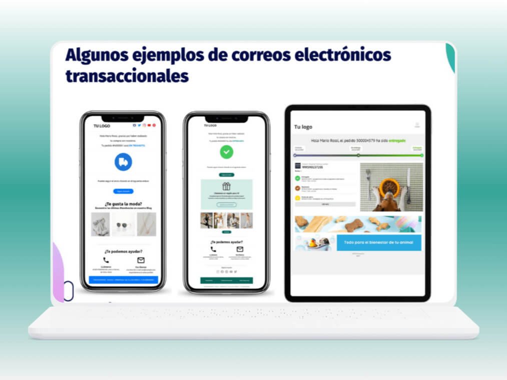 Enviar Paquetes Baratos EBEP EXPRESS VENEZUELA